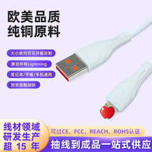 Һ�B���z��䔵����120W�m���O����׿Type-C�֙C��늾�Դ�^�S��