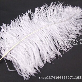 �֗U50-55cm�r�B��ë�廨��c��ë��̨����������ë