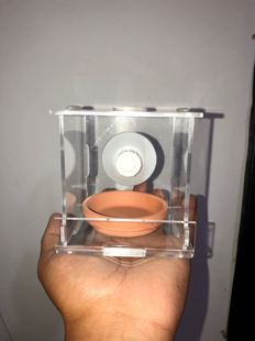 �����P���P�򰢷��_����t���P��С�͟Ꭷ�~�a�ѷ�ֳ�PԔ��ͷ�