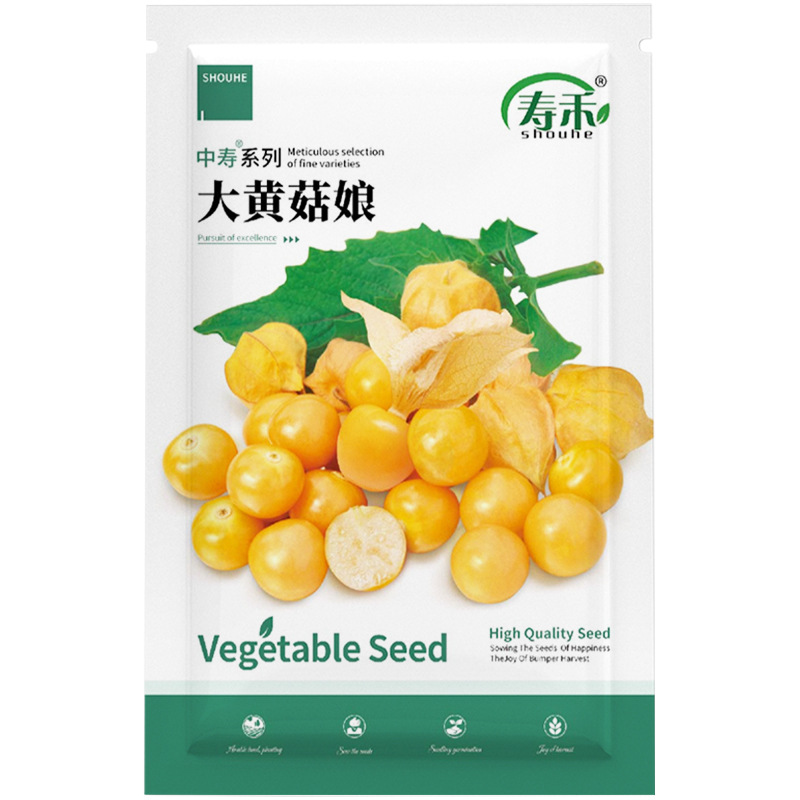 东北姑娘果灯笼果种子种籽红甜孑黄菇娘四季果的蔬菜树苗果苗果树