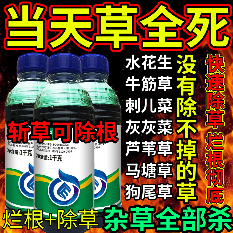 当天草全死死根烂根草剂斩草除根荒地果园专用除草剂草铵膦除草