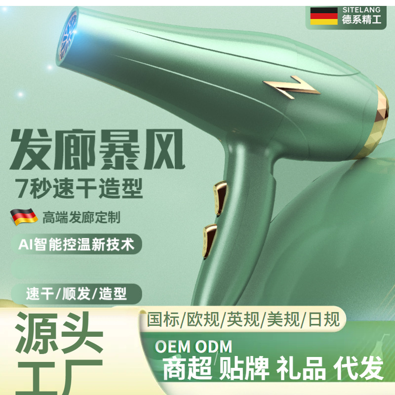 Cross-Border Hair Salon Special Hair Dryer Barber Shop High-Power Household Hair Care Quick-Drying Three-Plug Hot and Cold Hair Dryer