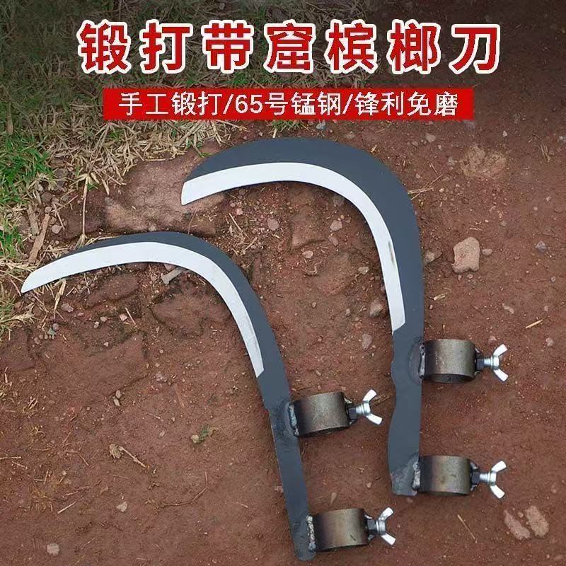 微信图片_20250418095750.jpg