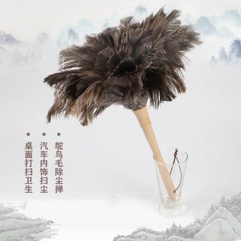 Feather Duster for Car Dust Removal, Static Electricity Dusting Ostrich Feather Duster for Cleaning Broom Brush Removal