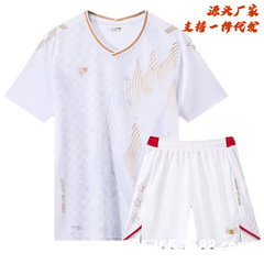 2025新款羽毛球服男女款运动套装正品休闲训练速干衣透气短袖