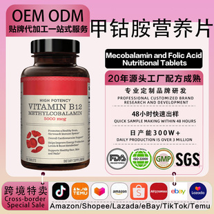 OEM��⒰��I�B�~��Ƭ�񽛏ͺϾS����b12�ޏ����B������������Ƭ