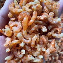 舟山优质虾米 红虾米  干海米 批发  干虾仁  虾干一件20斤批发