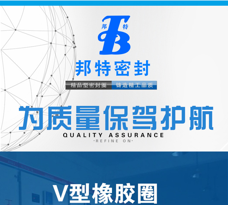 B019--一件代发耐介质防漏油o型氟胶V型圈-耐高温耐油丁