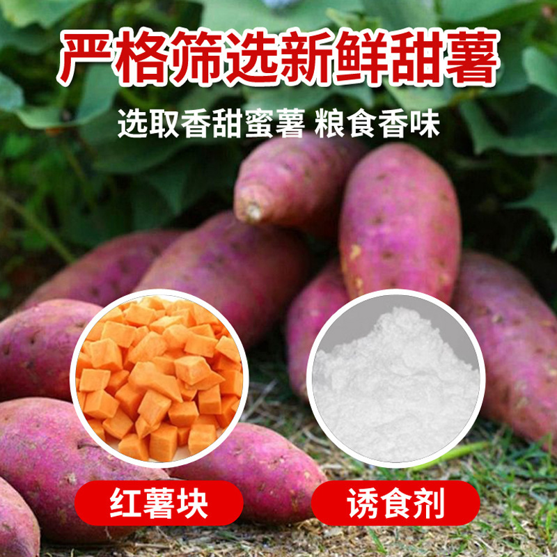 谷道香雾化烤红薯粒钓鱼打窝料诱鱼小药黑坑野钓鲫鲤草鳊青鱼饵料|undefined