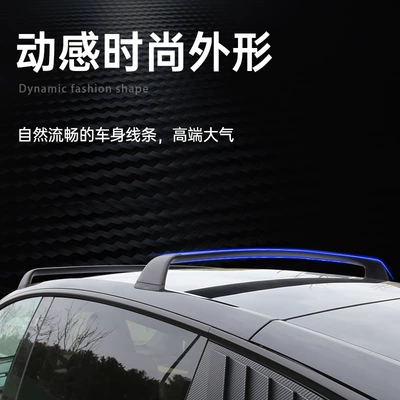Rack, Tesla Roof Luggage – Luggage Rack