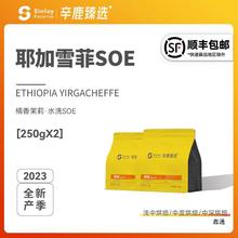 Sinloy/辛鹿臻选 耶加雪菲SOE 埃塞俄比亚G1 单品咖啡豆500g