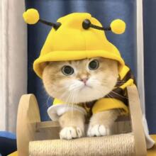 ?С�����·�����ů���С�۷��l����С��Ȯ؈���·��ﶬ��