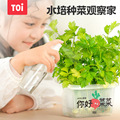 TOI图益儿童种植无土水培阳光种植玩具科学