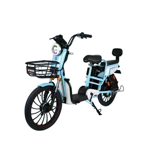 Rainbow Electric Bicycle Long Range Battery Vehicle