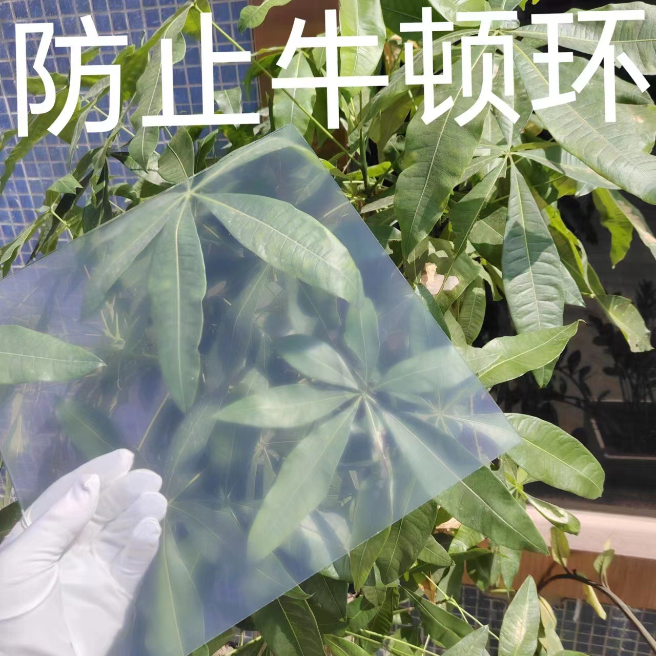 微信图片_20250309143143