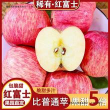 【超脆蘋果】煙台棲霞條紋紅富士蘋果新鮮脆甜禮盒水果整箱批發