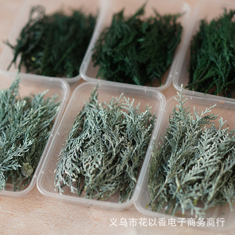 【松の枝柏の葉】クリスマスツリーdiy手作り花輪飾りグリーン永生花ヒノキ香薫ろうそく乾燥花|undefined