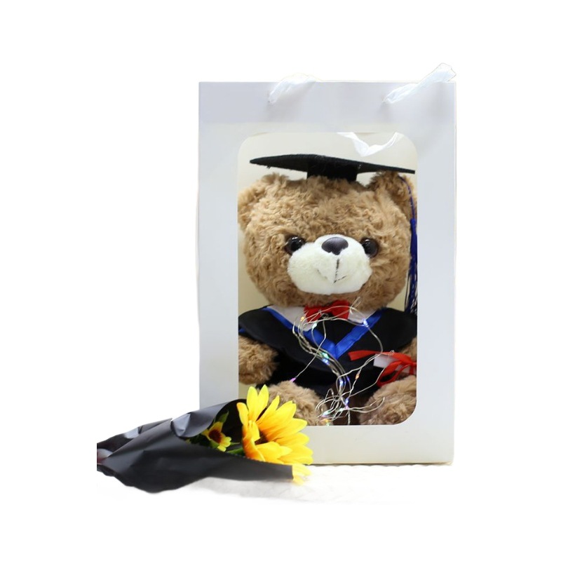 Venta al por mayor de uniformes de licenciatura, maestría, oso de doctorado, juguete de peluche, muñeca de oso graduado, muñeca de trapo impresa, regalo de graduación