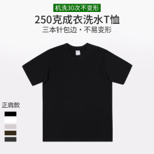 250g重磅厚实纯棉全棉短袖T恤男装宽松圆领正肩大码女纯棉衫批发