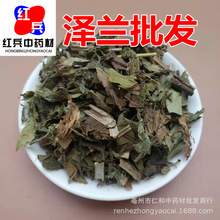 中药材泽兰 草药泽兰 新货农产品泽兰粉