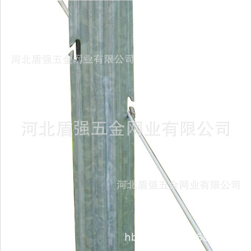 榆林市神木县金属葡萄杆子 苹果葡萄园立柱 猕猴桃架杆防鸟网立柱