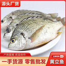 �S���~�S���~���~�F�����l ���rˮ�a�S���� �S�_���a�ذ��]