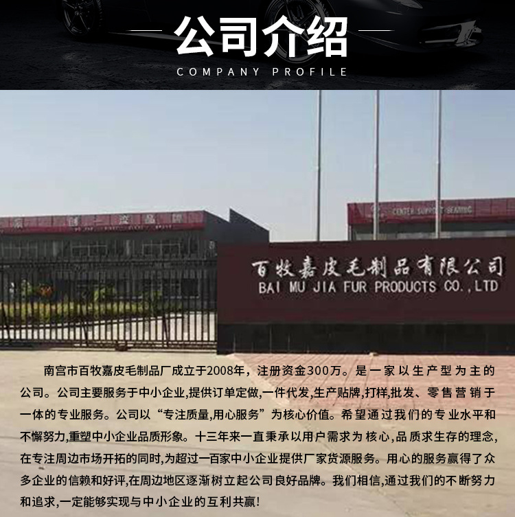 公司介绍3-另一版_01