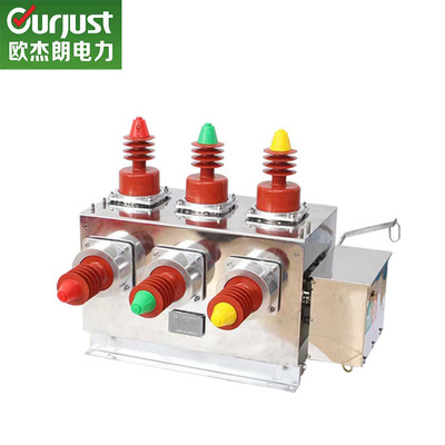 O jack ZW10-12 Stainless steel Electric Watch Leash quarantine outdoors high pressure Vacuum Circuit Breaker