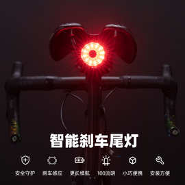 洛克兄弟自行车尾灯山地公路车夜骑智能感应刹车灯警示灯骑行装备
