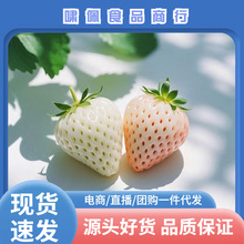 �����|��S�S�C��ɽ�|��ѩ��ݮ 1/3�����Ͱײ�ݮ���rˮ����ѩ��ݮ