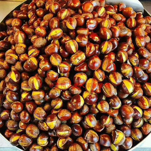 Guizhou alpine chestnut fragrant soft noodles fresh chestnuts beige meat oil chestnut sugar stir-fried chestnuts raw materials wholesale in whole box