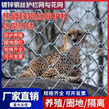 ú�V֧�o���o�W���ƵV�ý��������F�z�W����߅�·��o����\�����W