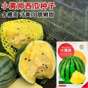 �SƤ�SȿС���ϷN�Ӹ߮a����ϷN���S�Ĵ��ļ������̨�Ϸ�ˮ����