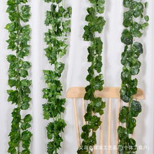 �����ٗl�Gɫֲ���ٗl����81�~�G�}�ٗl �����b����������~����