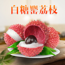顺丰广东高州白糖罂荔枝 代发5斤新鲜时令纯甜中华红蜂糖罂荔枝