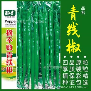 ���L�ྀ���N�������ѱ�Ƥ���G�����N��ԭ�b�ļ��߲˷N�Ӵ�ȫ���l
