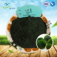 小球藻 99%小球藻粉  （绿藻）破壁小球藻 蛋白核 瑞林现货供应