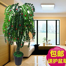 �٘�1.8�׽��X��ֲ�������k���҃ȿ͏d���;Gֲ�b�����