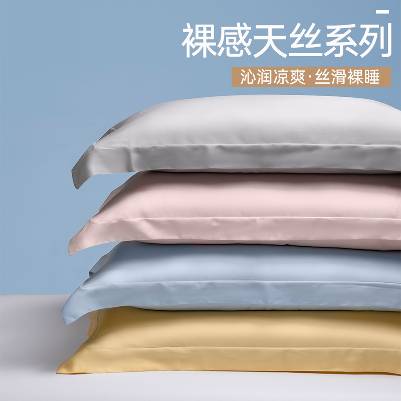 新品天絲單品枕套一對裝輕奢高級感真天絲枕頭套柔軟套夏季家用