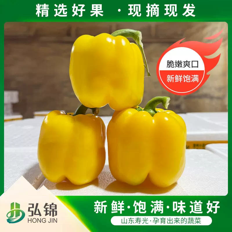 黄彩椒 五彩椒新鲜彩色甜椒山东寿光产地种植清脆多汁五彩圆椒