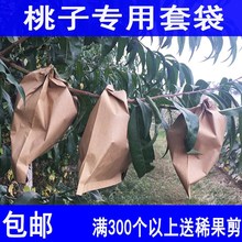 桃子套袋专用袋黄桃袋桃子纸袋黄桃水蜜桃蟠桃纸袋防虫防雨水桃袋