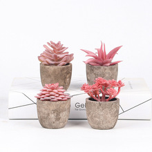 ��������⡿�������ֲ���辰����΢���^��������ֲ���b�Ʒ�[��