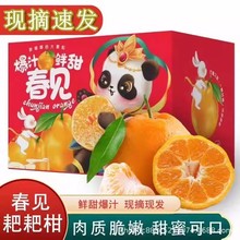 四川春见耙耙柑当季新鲜5斤9斤粑粑柑桔丑八怪橘子整箱水果批发