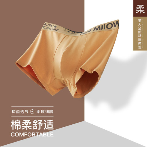Catman men's underwear combed cotton boxer briefs honeycomb moisture-wicking mid-waist youth pants manufacturer one piece drop shipping