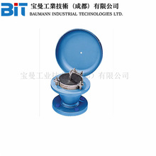 Anderson Greenwood安德森格林伍德Amal ERQB阻火器原装艾默生