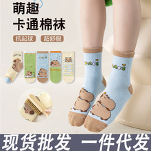 儿童袜子男童春秋款精梳棉中筒袜卡通恐龙男童袜宝宝中大童棉袜子
