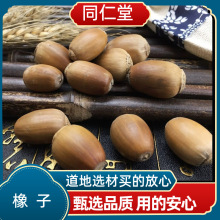 橡子 橡籽 橡实 栎树果 橡果橡栗包邮多规格可选真货好货