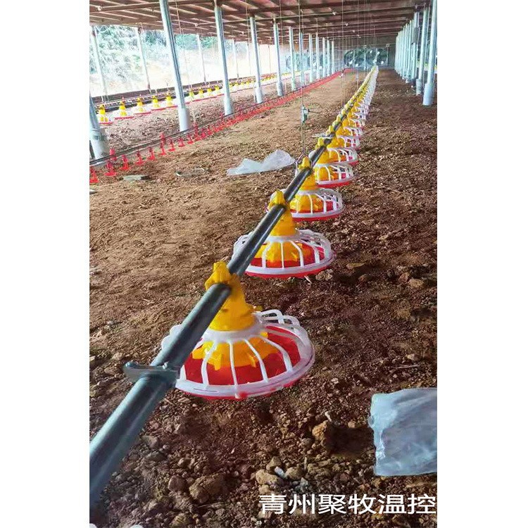 Línea de alimentación para la cría de pollos gruesa de pollo con barril de alimentación para la cría de pollos de gallina plana a sueldo para la alimentación automática de agua y línea de alimentos