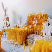 �����̈����������쾰��c�ɻ��S����@�������^�[�����������b�