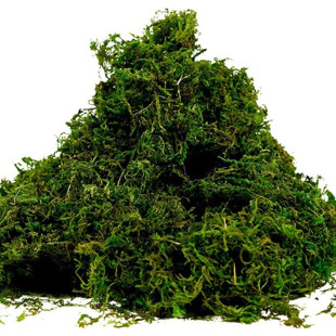 ֲ����̦ ��̦�\ ˮ�ݵ���DIY�廨�b��� �Ҿ��b�Ʒ fake moss